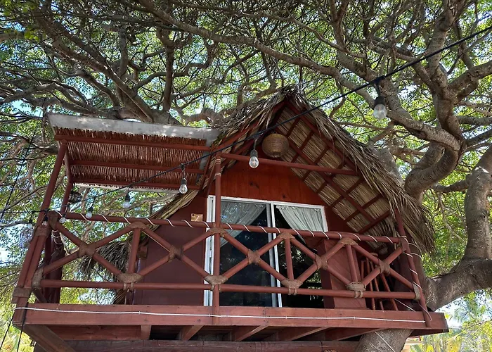 Casa Del Arbol Barra La Saladita