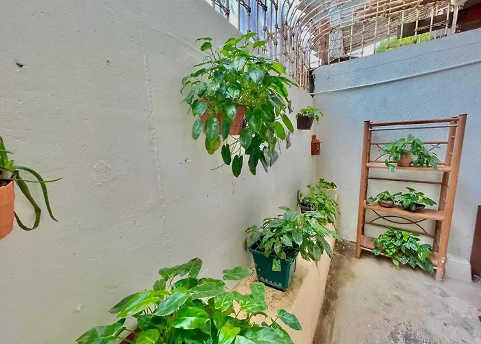 Casa Miss Mercedes, Calle Adelita, Ground Floor